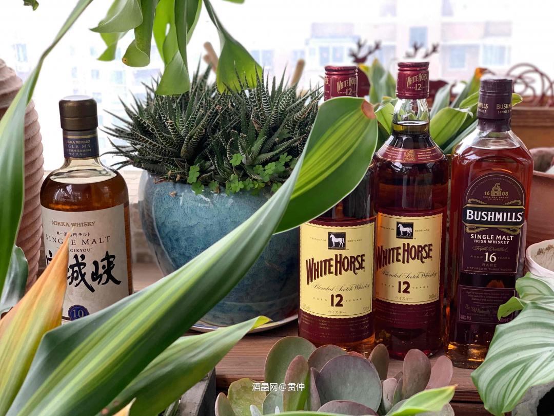 多图杀猫帖之酒摄