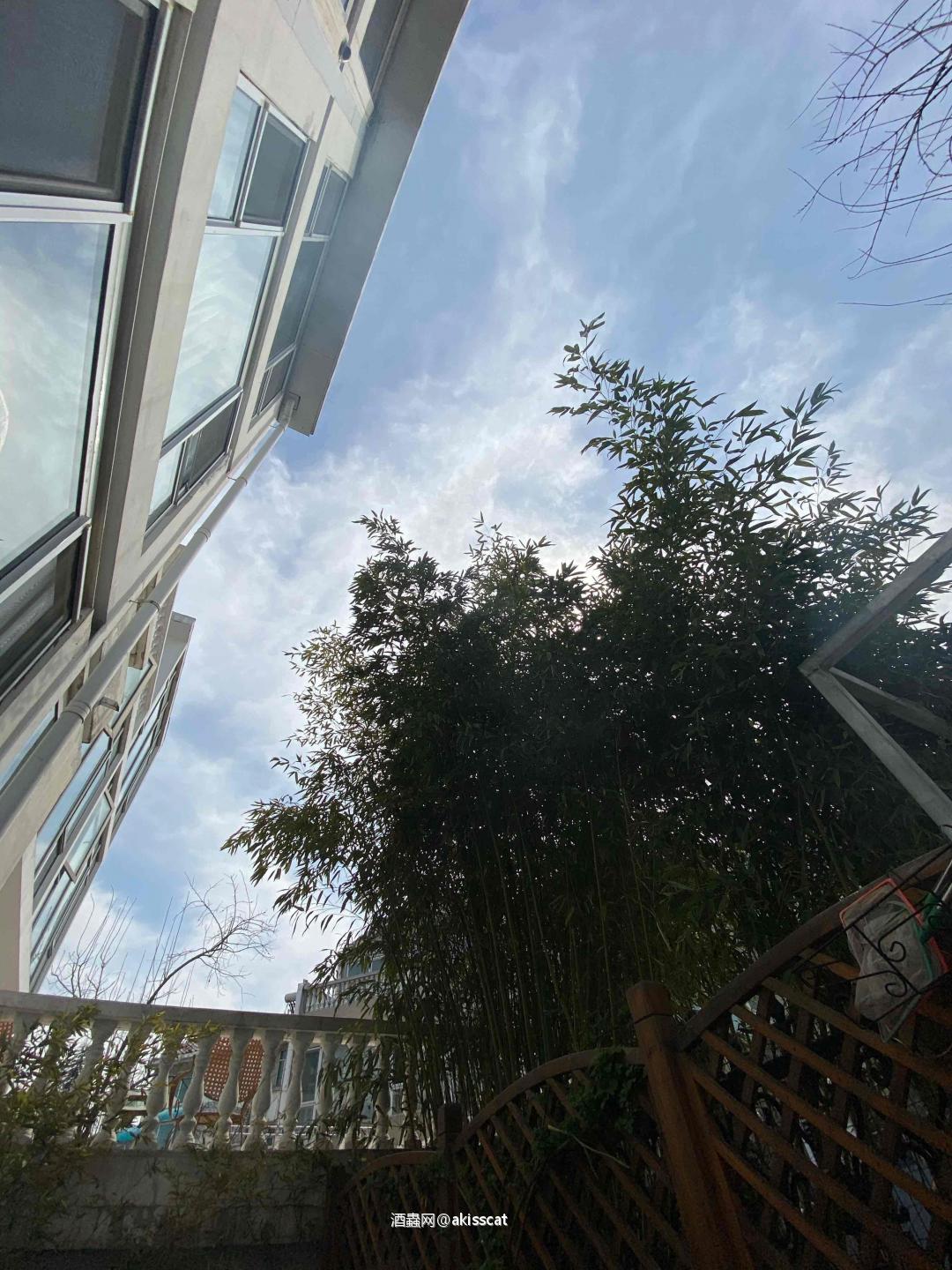 北京的春天很短，终于温度可以适合在户外活动了，享受一下自己烤…