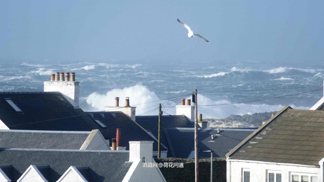 齐侯门酒厂（KiChomanDistillery）继Bruichladdich宣布关厂之后也于近日宣布关闭访客中心，酒厂只会留少数人员处理还未完成的订单。如政府宣布Lockdown，齐侯门酒厂将会遵守政府命令关厂。