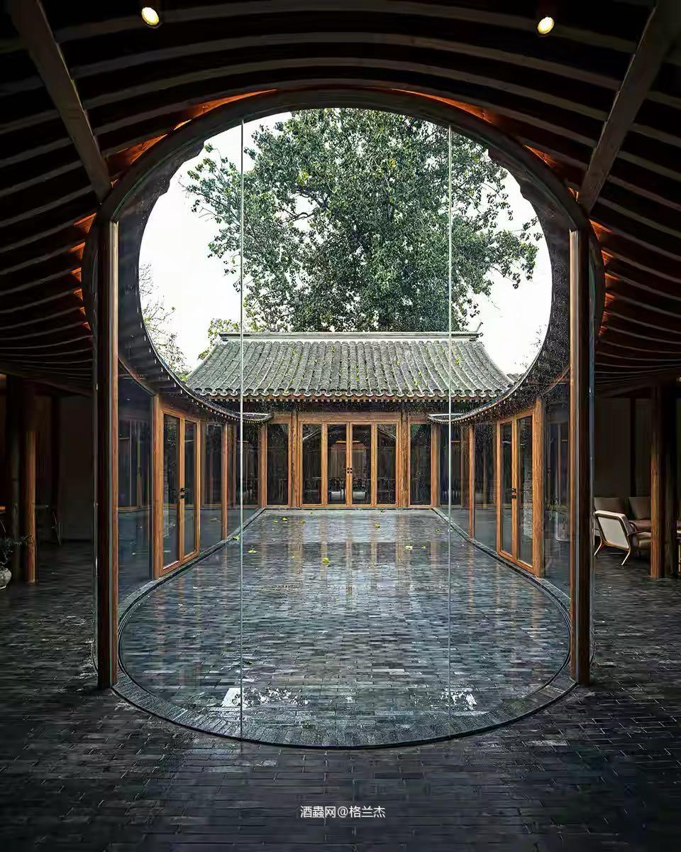 近来搞茅台