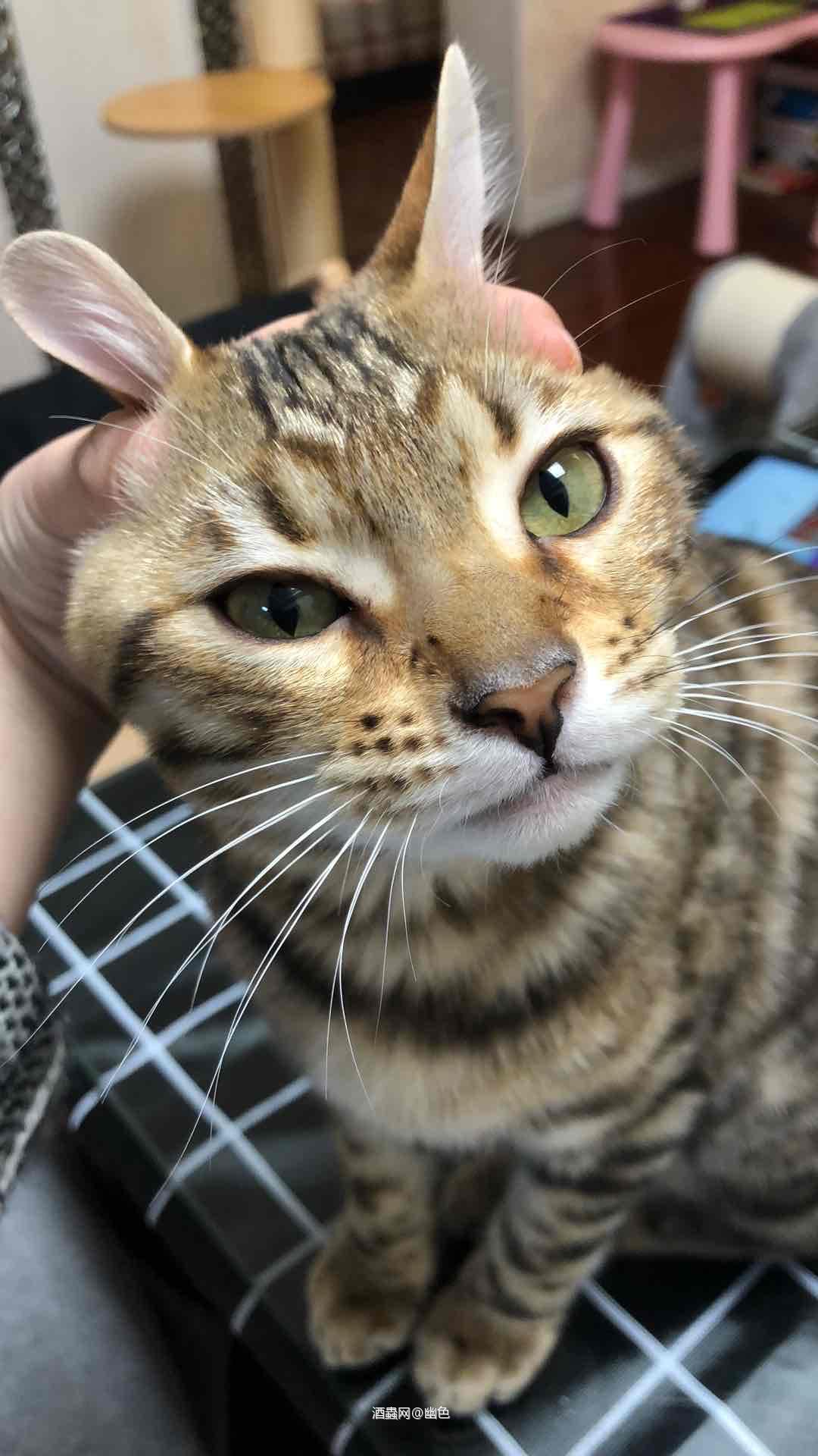 逮住只🐰喝一杯