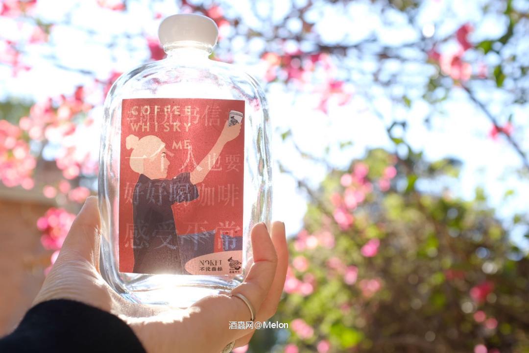 🌙月亮是我抛的硬币，两面都是想见你。