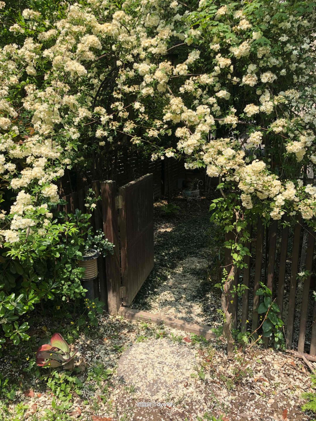 壕的世界，我们不懂