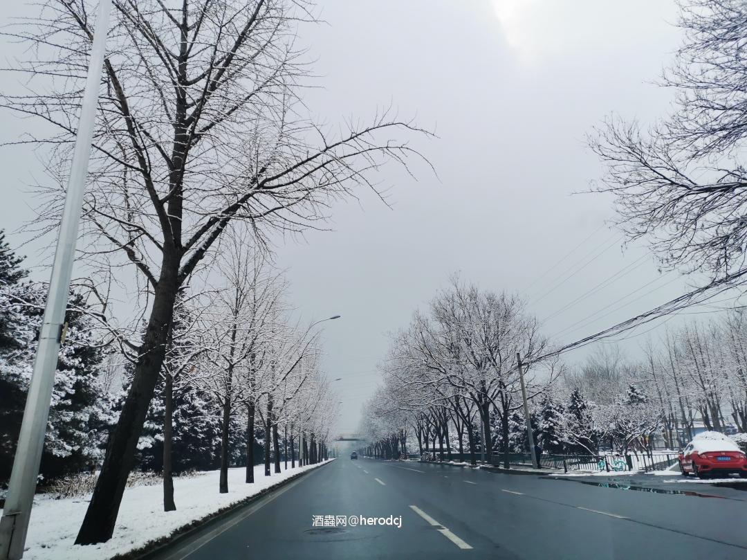 大猿猴子霸蛮豪横奥力给了