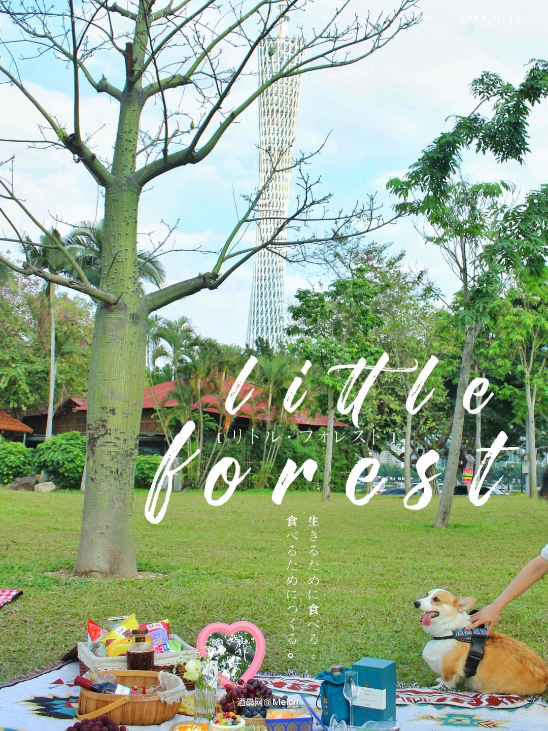 𝓡𝓸𝓶𝓪𝓷𝓽𝓲𝓬 𝓼𝓹𝓻𝓲𝓷𝓰 |春天也是远道而来的浪漫🧁💫