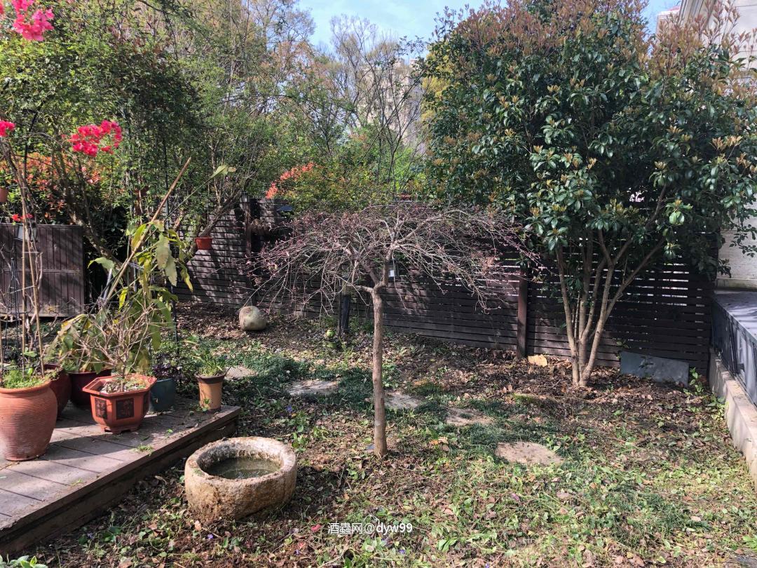 人在深山中……酒吧隐世间