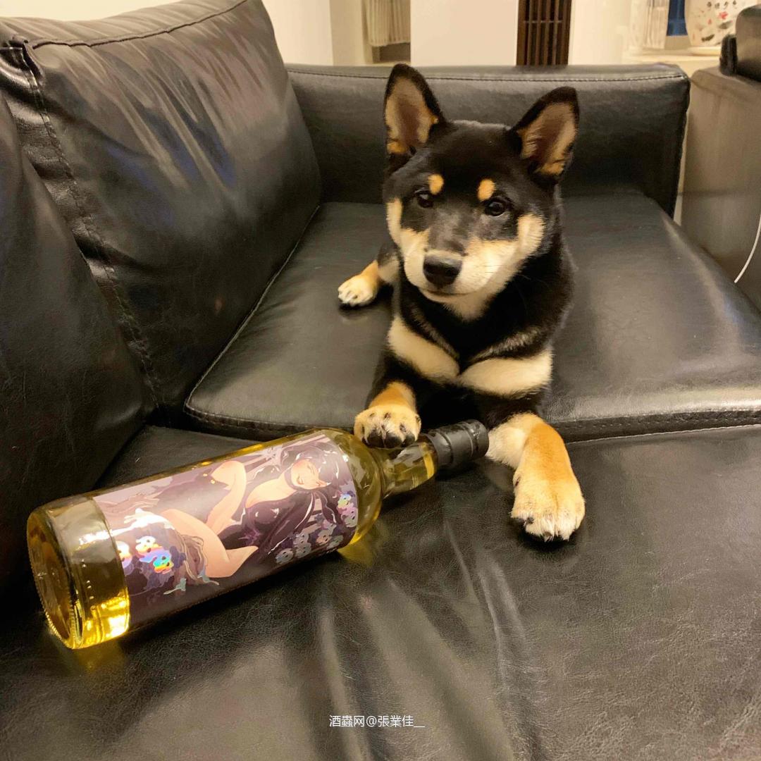 布纳哈本13年 女巫