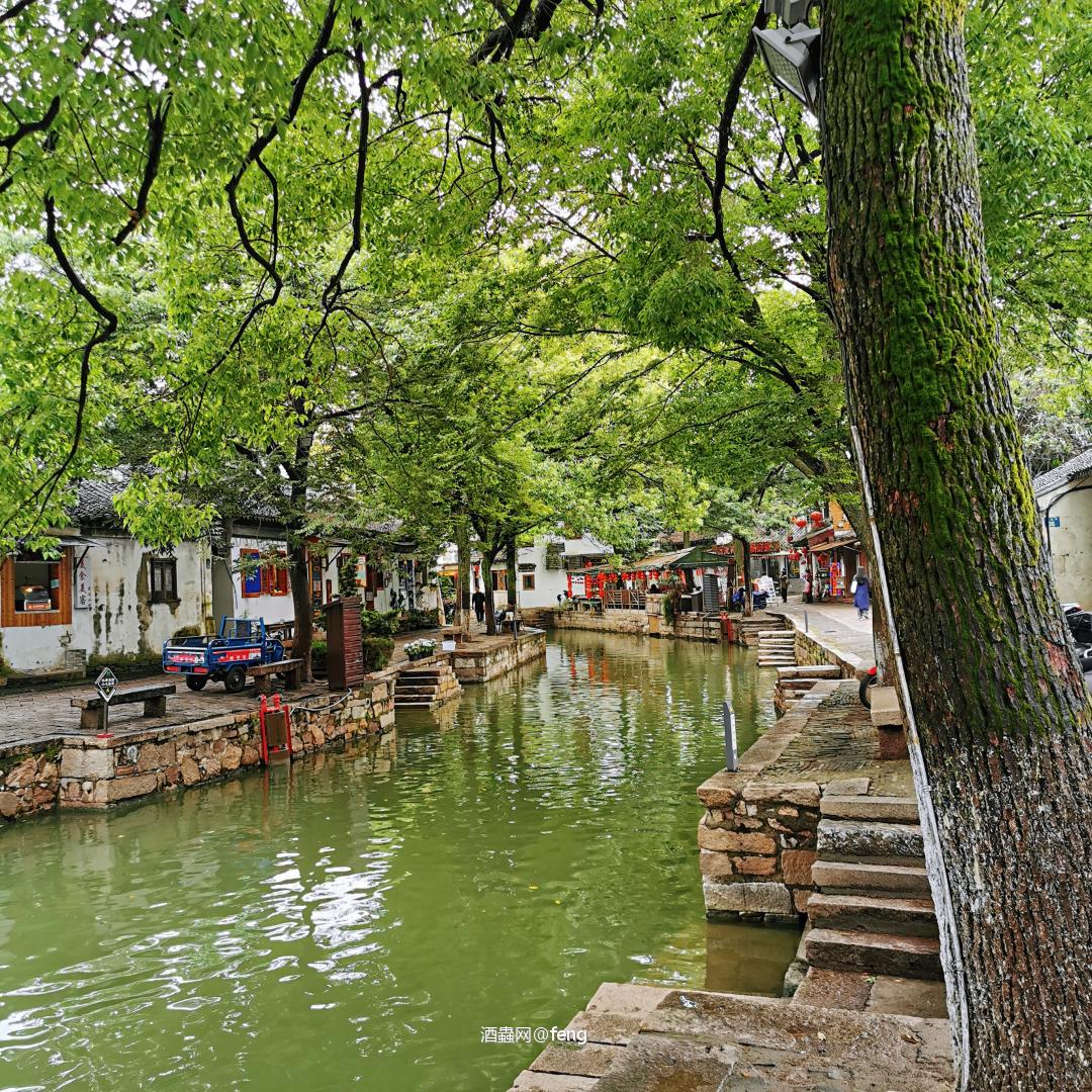 水乡古镇半日游