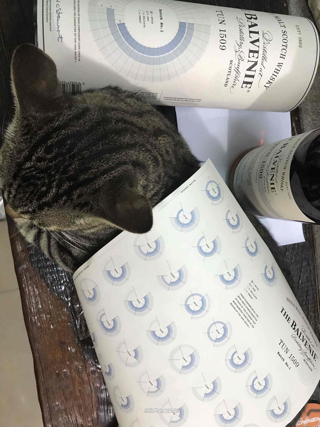 ㄧ路好走,愿来世当好人家小孩