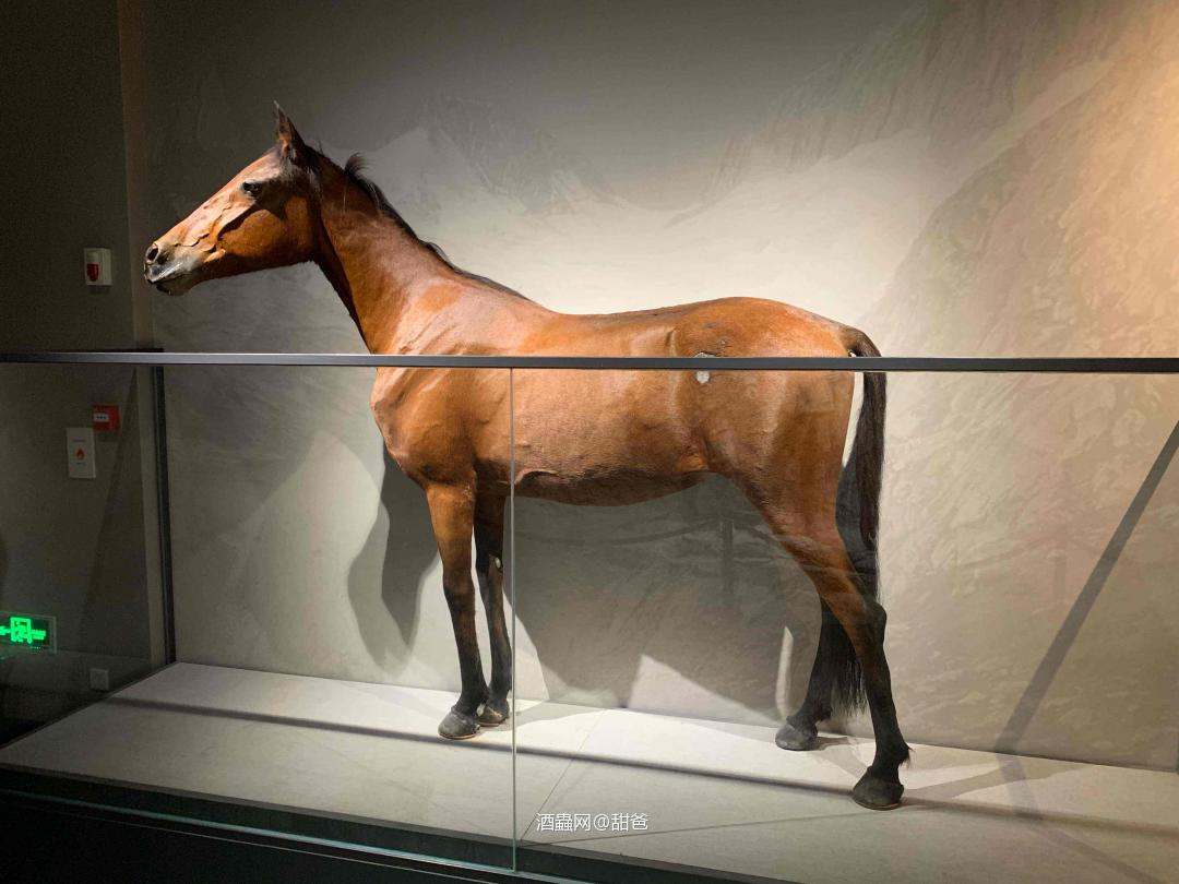 最近比較累，盤酒解乏。