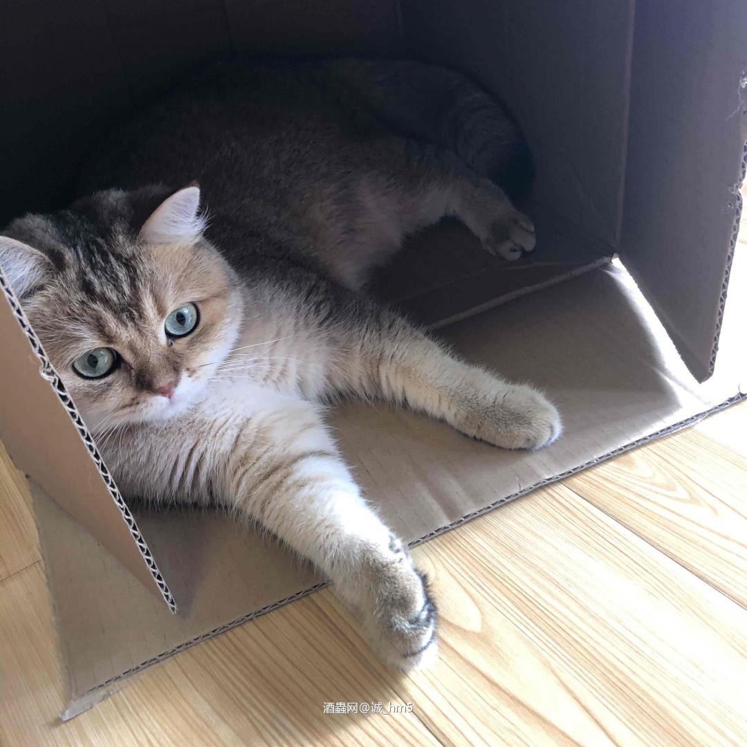 杯子需要开个光