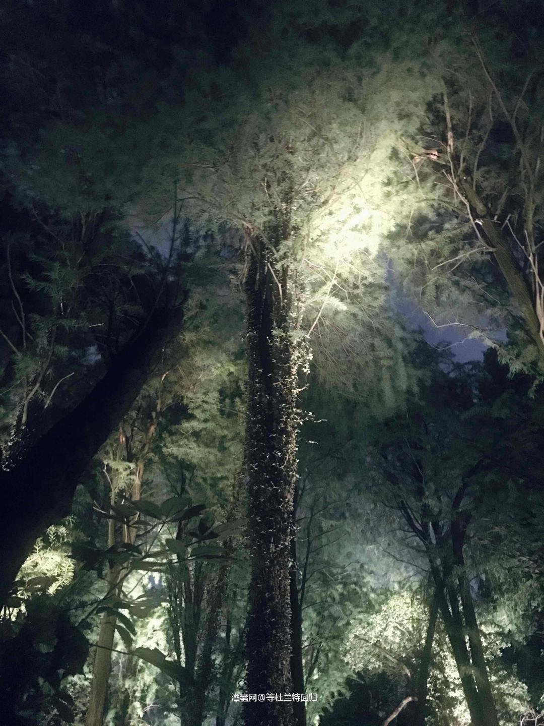 <p class='p'/><p class='p'/>