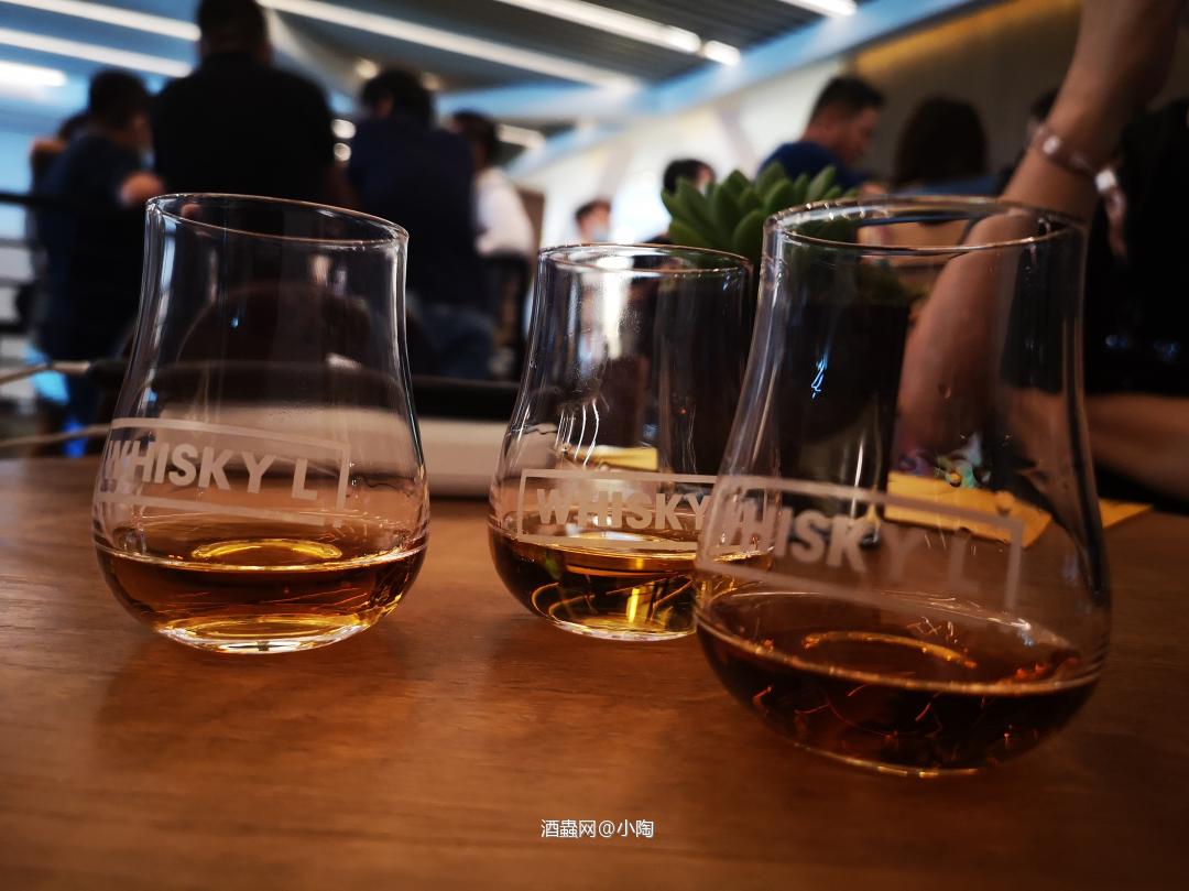 江畔临风御美酒 夜色撩人望星辰