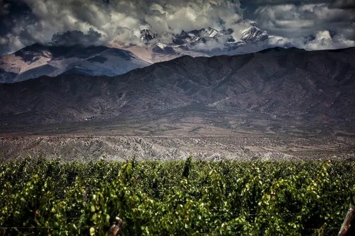 瑞士山单一麦芽威士忌发布新酒“ Master Distiller Edition III”