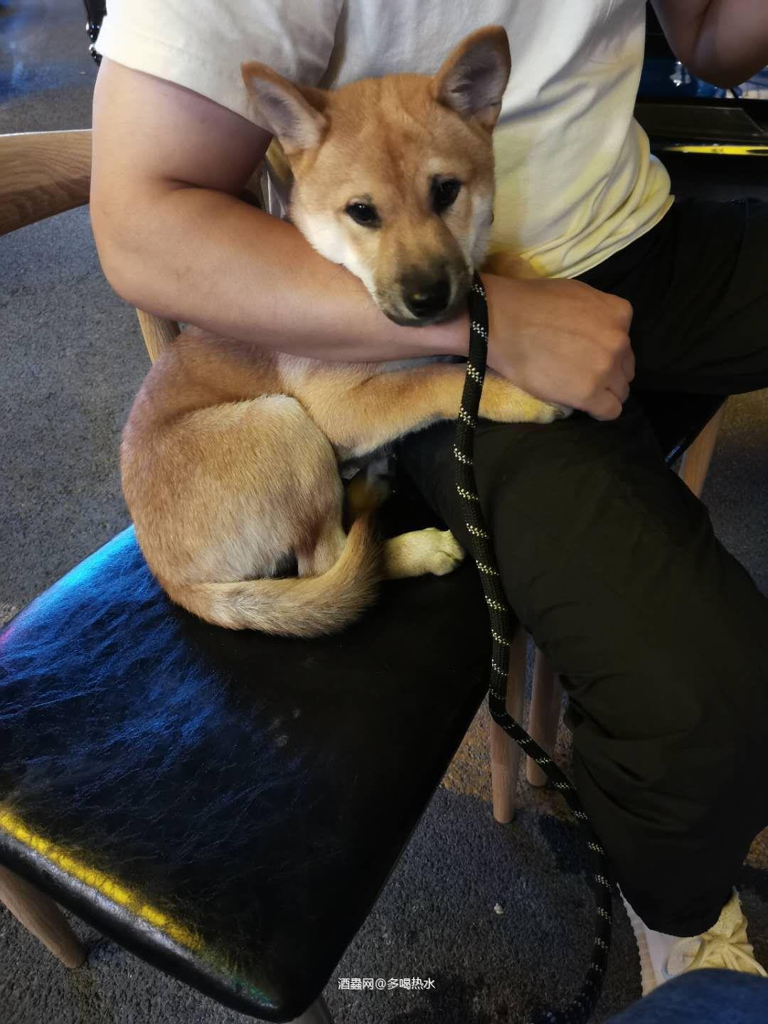 第一次喝这么高年份的麦卡伦