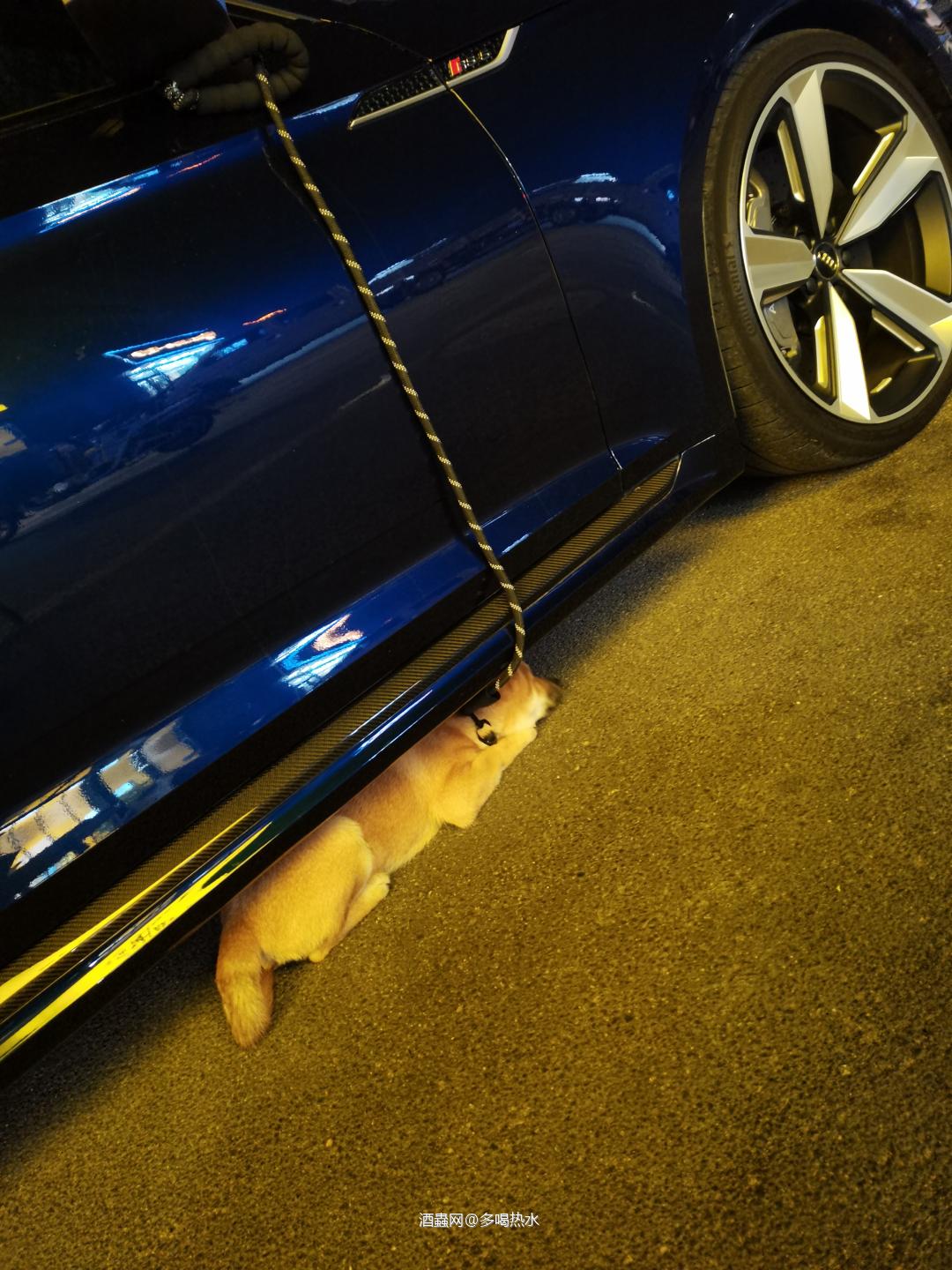 第一次喝这么高年份的麦卡伦