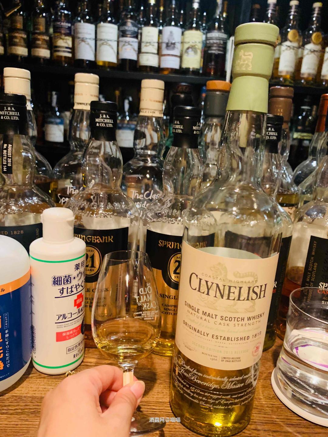 继续连载呗……一般般的🐱