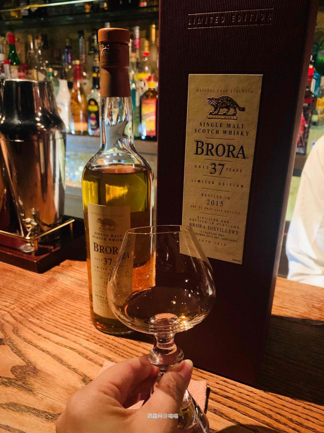 今晚精选第一喝！美味大猫猫！