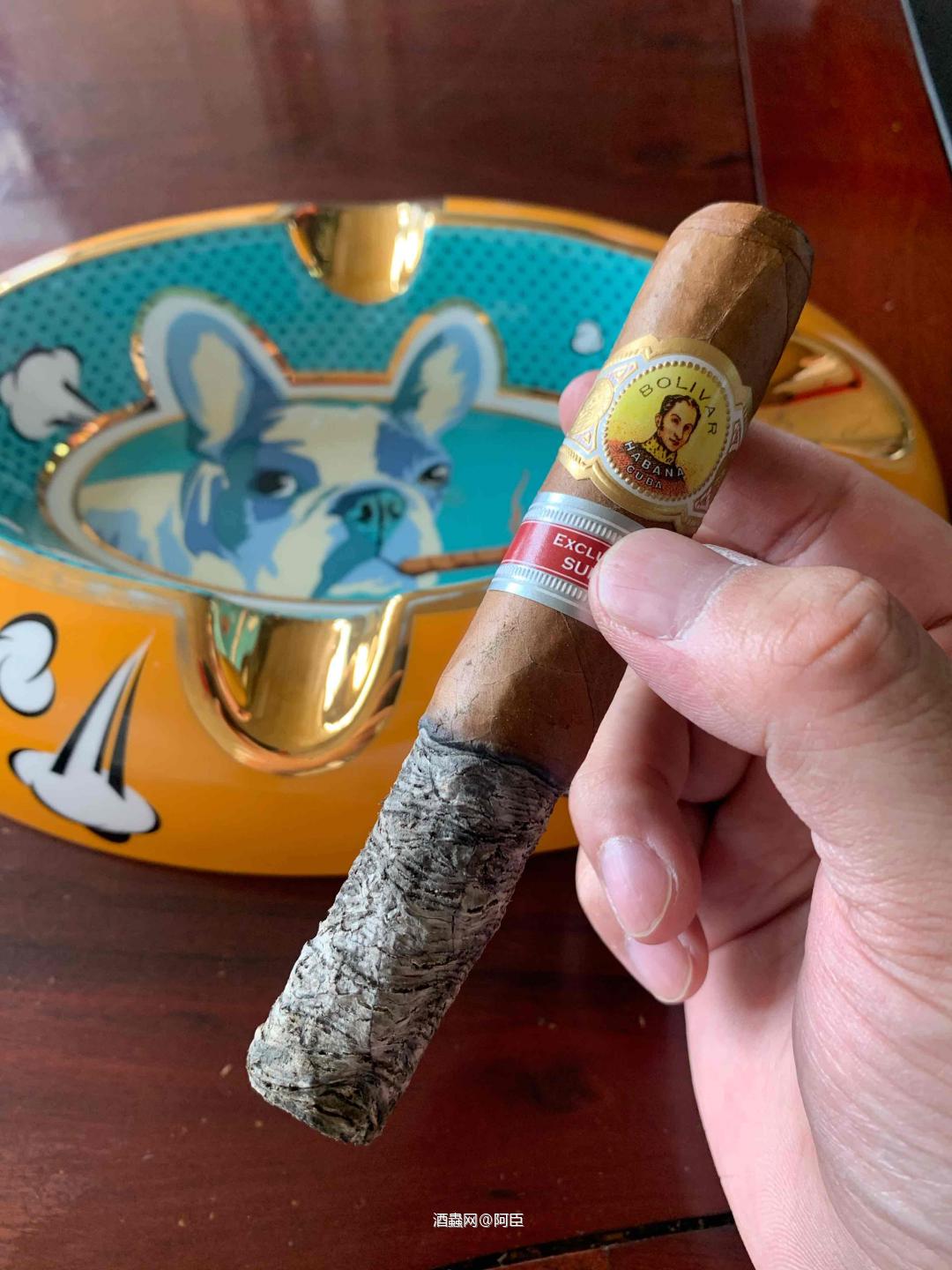 今日茄：玻利瓦尔瑞士地限