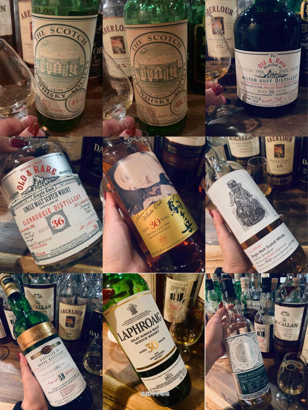 猜猜我最喜欢哪一只