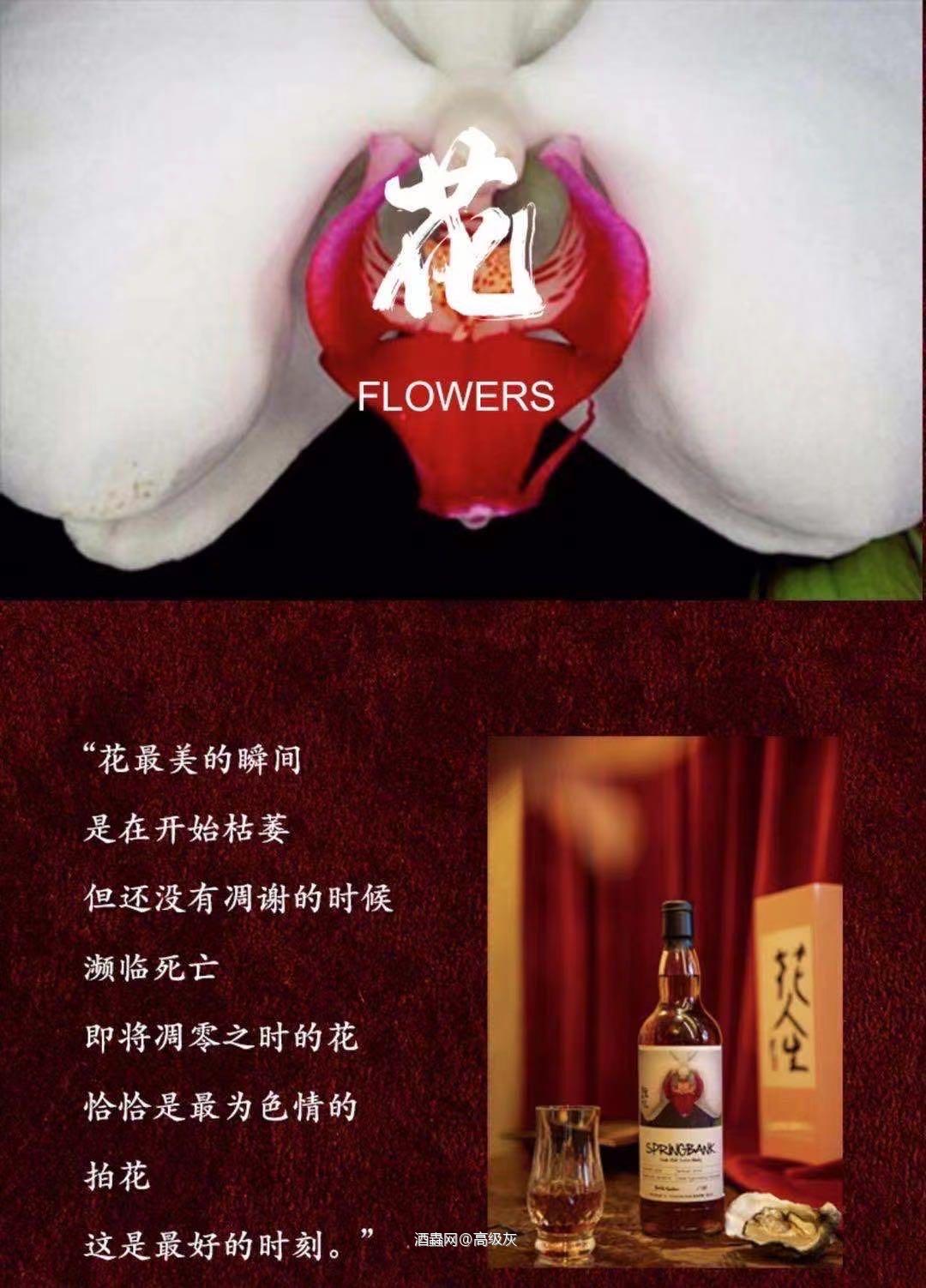 云顶x荒木经惟花人生联名 这套有了解的吗