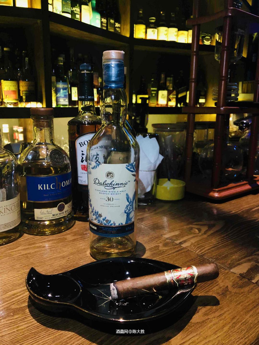 达尔维尼配巨著