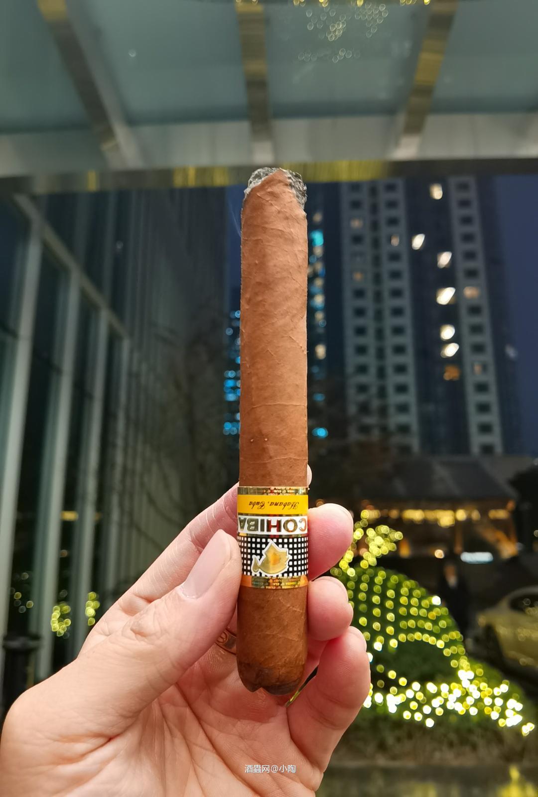 逍遥一路别庚子 憧憬奋斗迎辛丑