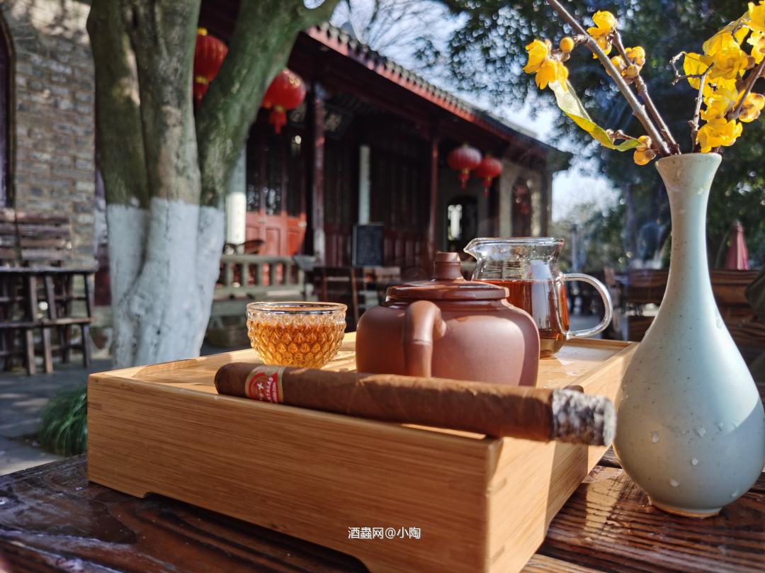 逍遥一路别庚子 憧憬奋斗迎辛丑