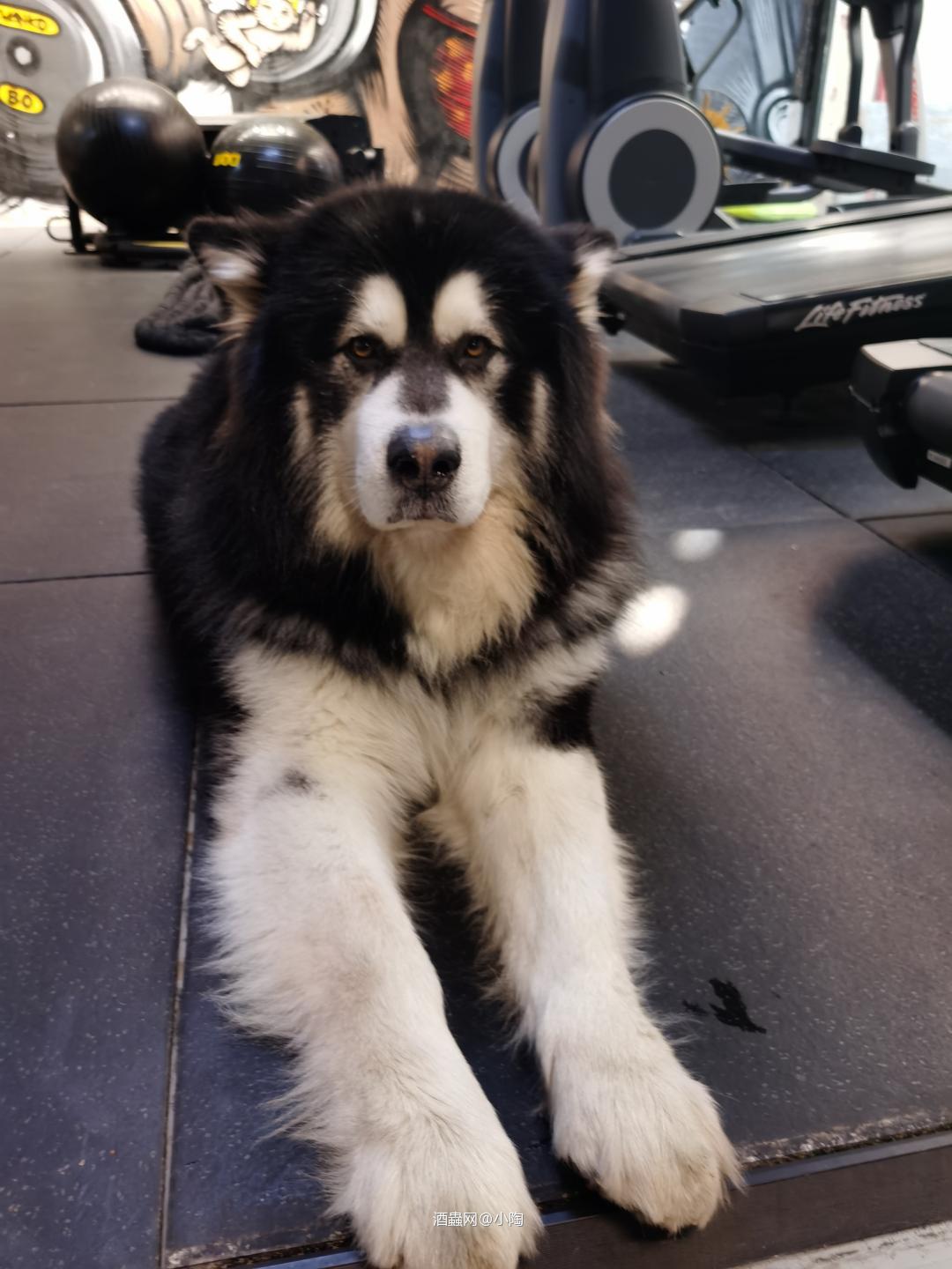 逍遥一路别庚子 憧憬奋斗迎辛丑