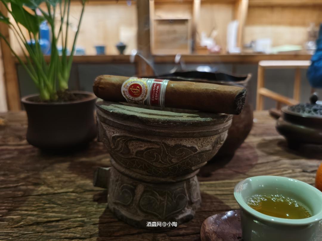 逍遥一路别庚子 憧憬奋斗迎辛丑