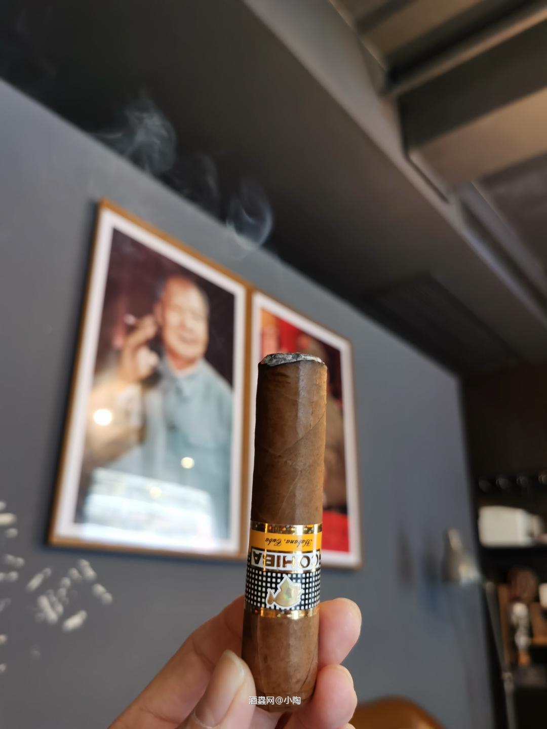 逍遥一路别庚子 憧憬奋斗迎辛丑