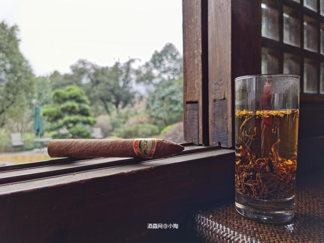 逍遥一路别庚子 憧憬奋斗迎辛丑