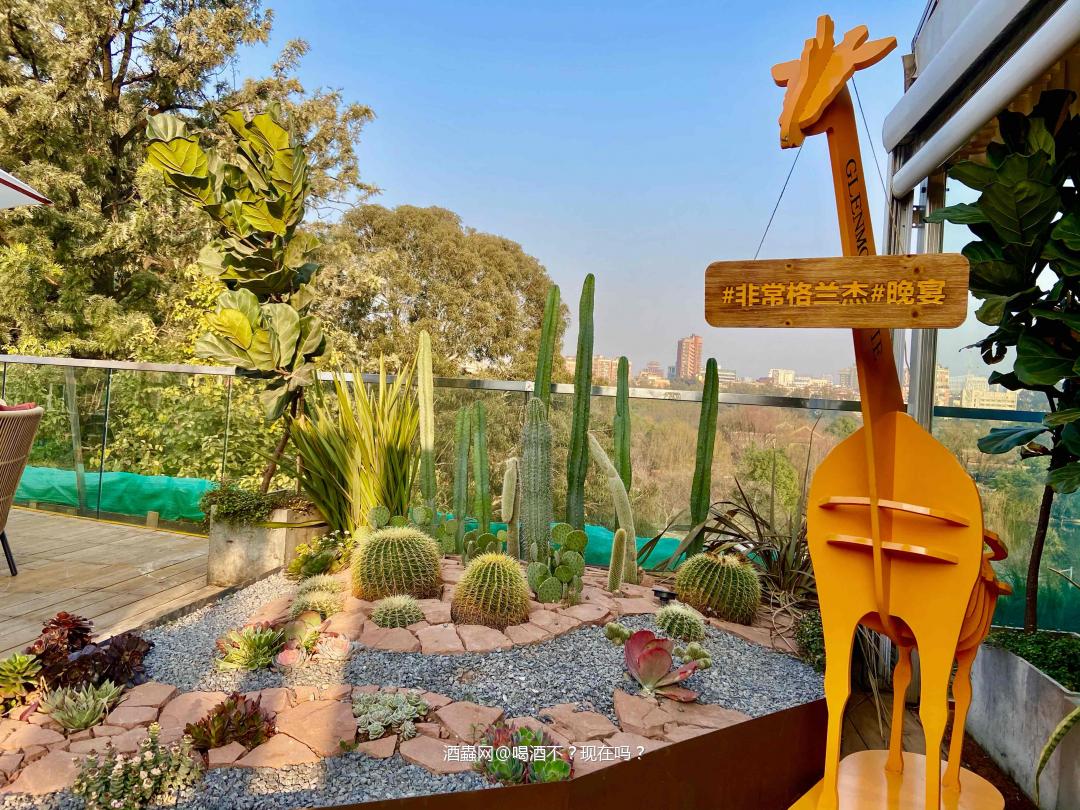 <p class='p'/><p class='p'/><p class='p'/><p class='p'/><p class='p'/><p class='p'/><p class='p'/><p class='p'/><p class='p'/>非常格兰杰 ，非常高 ！