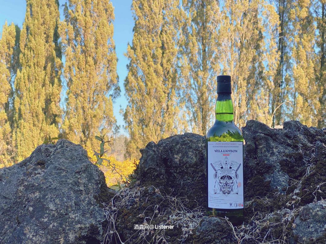 孤独残余的绿意希望 寂静最后的灵魂栖息🥃