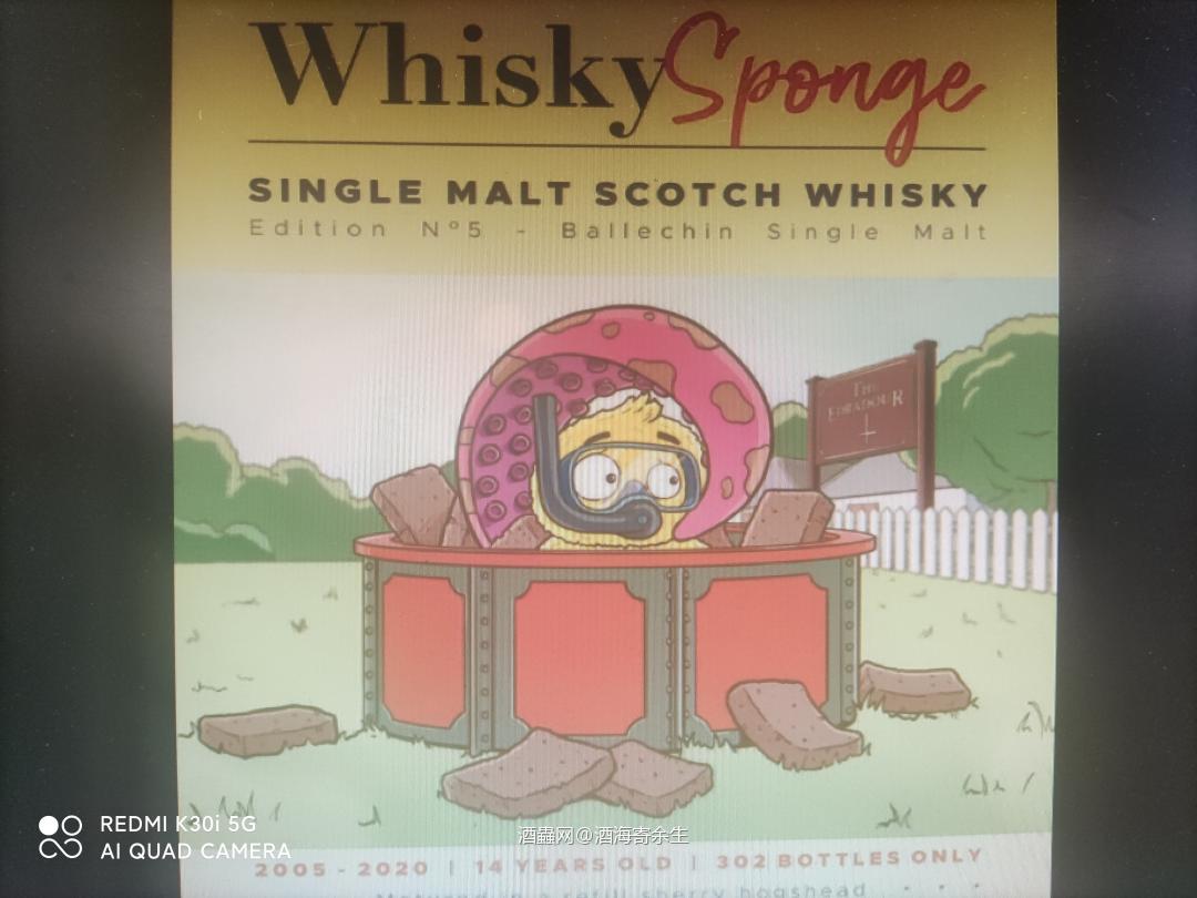 【收藏秘籍】003 海绵宝宝