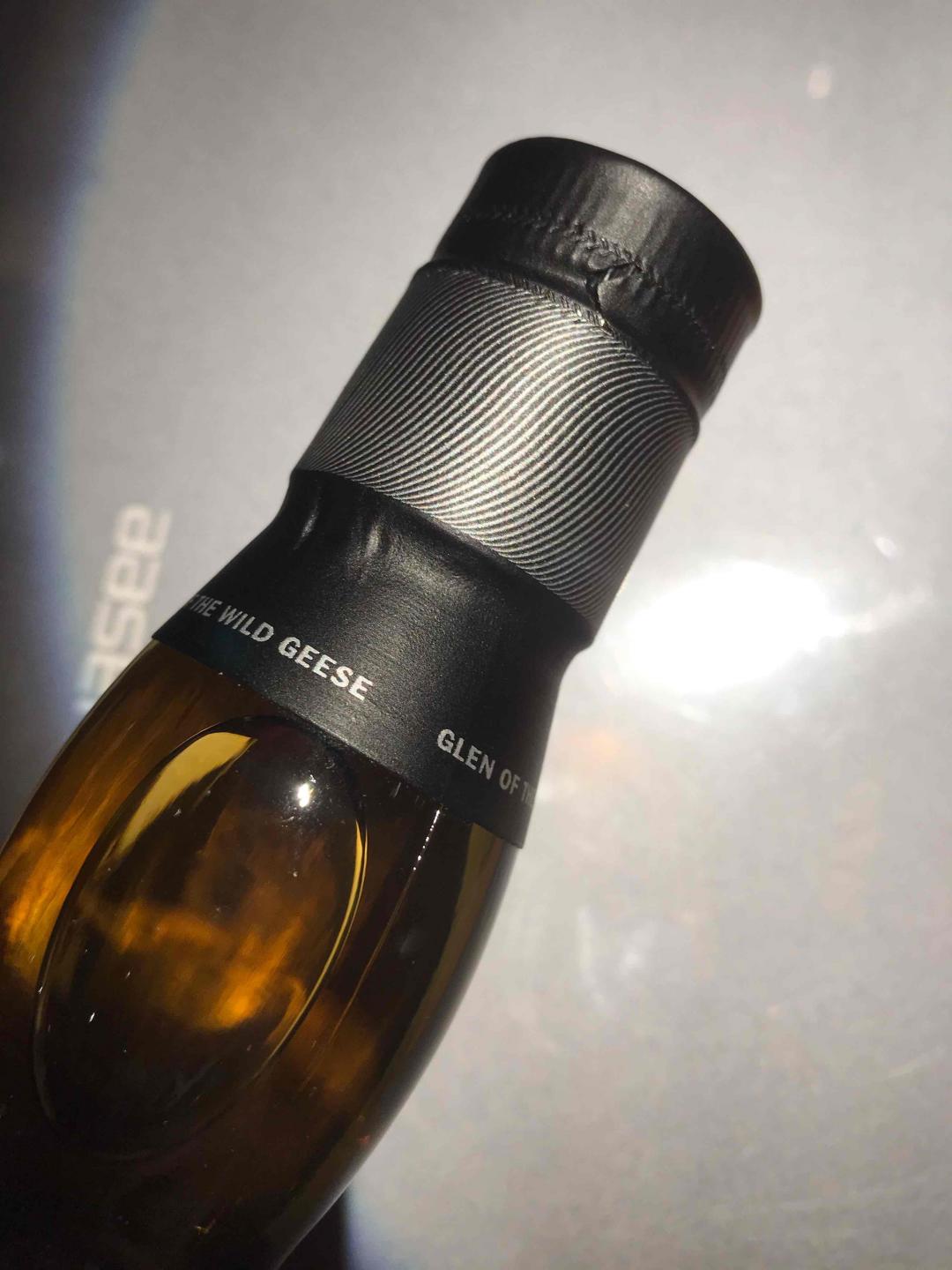 格兰哥尼传奇系列第一章