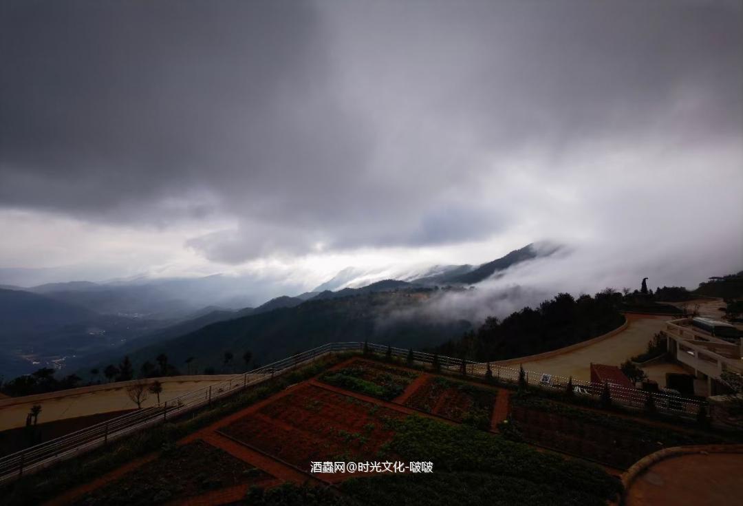 逛大芹酒厂！就在漳州大芹山。。。算是中国大陆量产的酒厂！