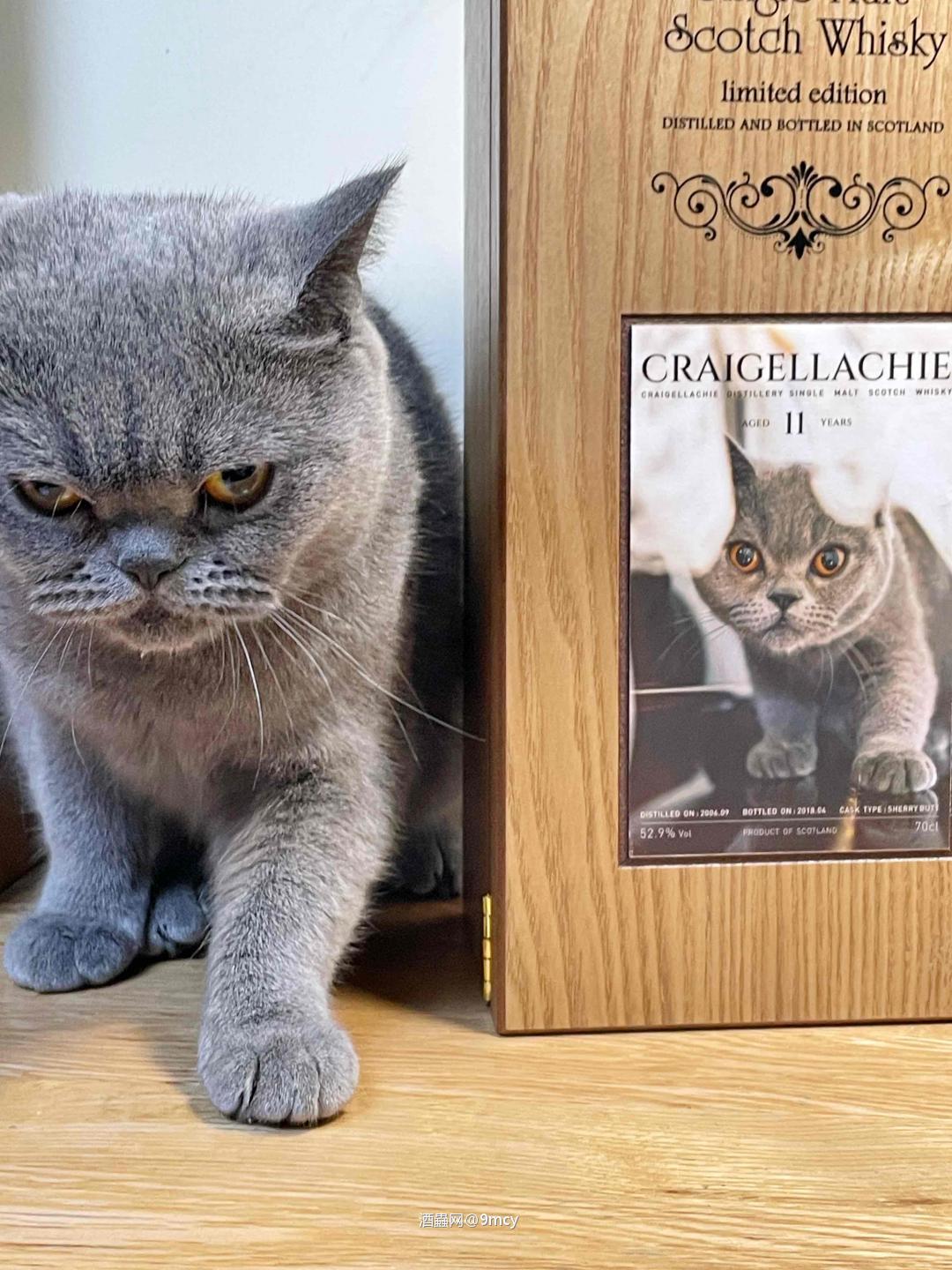 我与猫都喜欢，感谢酒虫