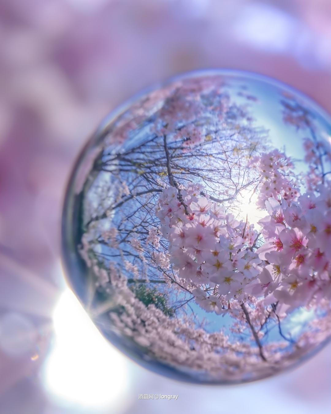 寓沉雄于静穆，藏锋芒于沉思