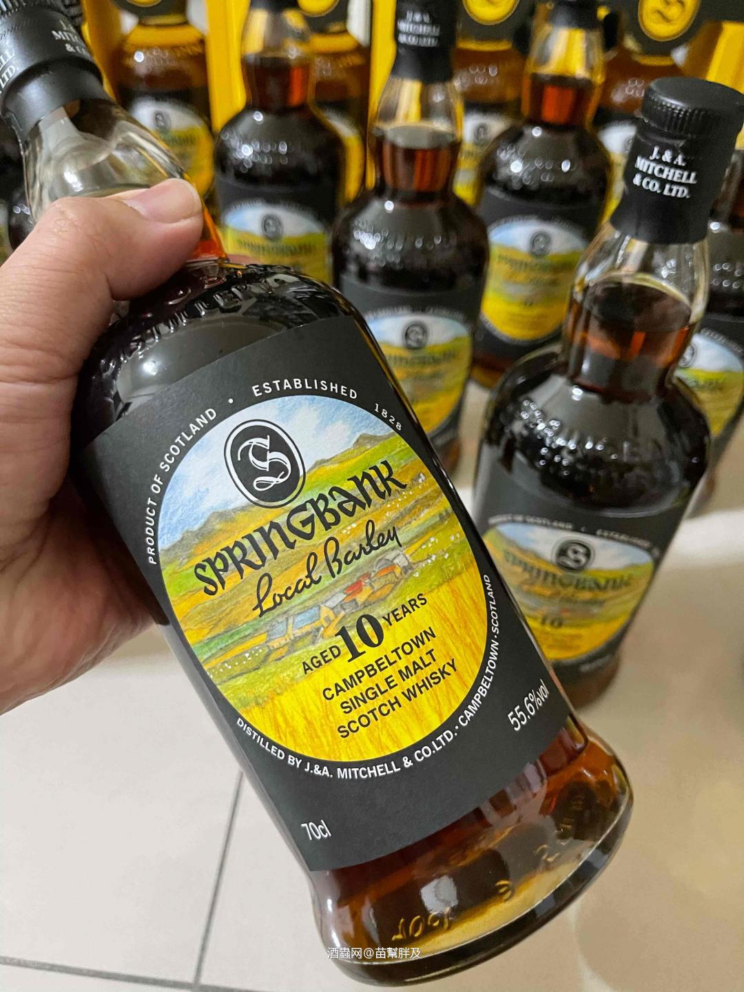 今年的云顶本地大麦就是黑！黑！Springbank