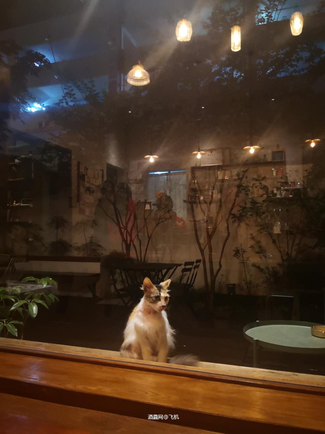 威小聚，慢饮出高兴。