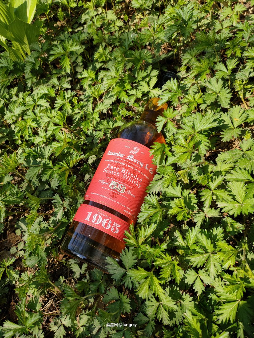 万般绿，一抹红