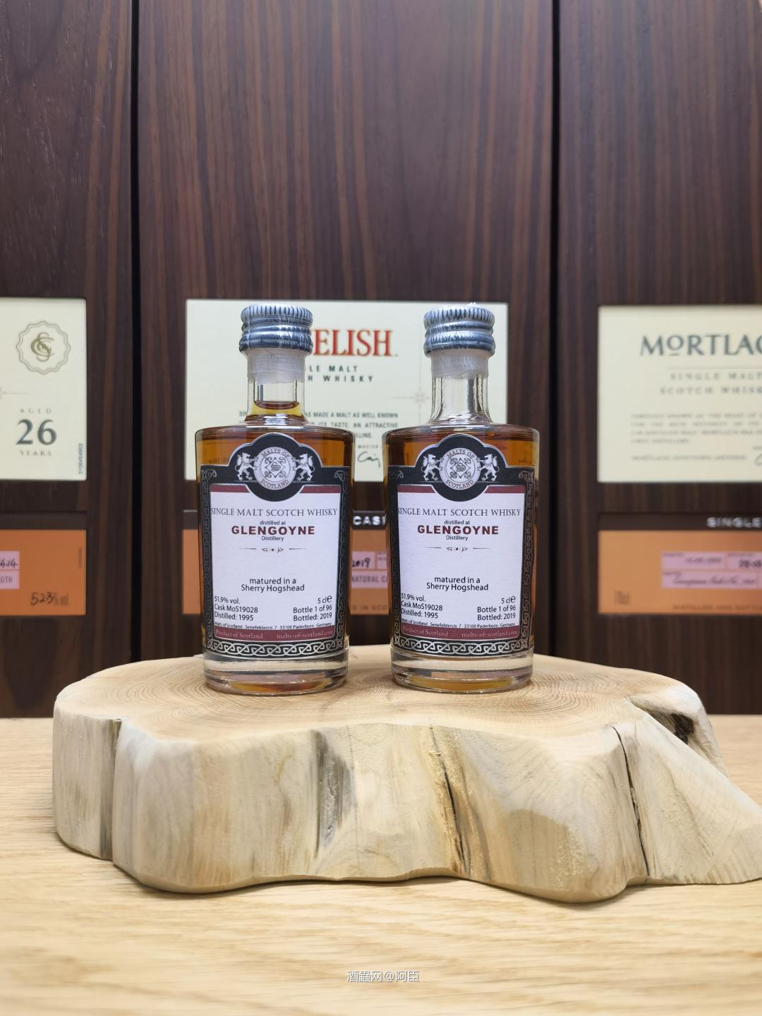 最近哥尼是真火