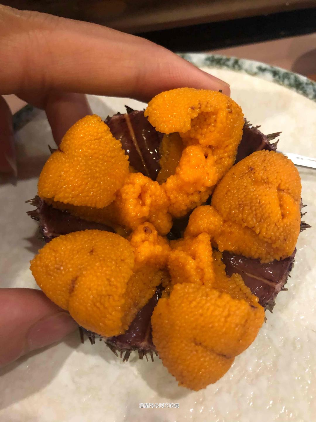 艾雷元素—布纳哈本<p class='p'/>酒体清澈，浅金色，有渣<p class='p'/>闻香：油脂、茉莉…