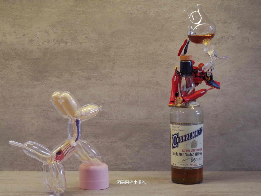 康法摩尔36，yyds