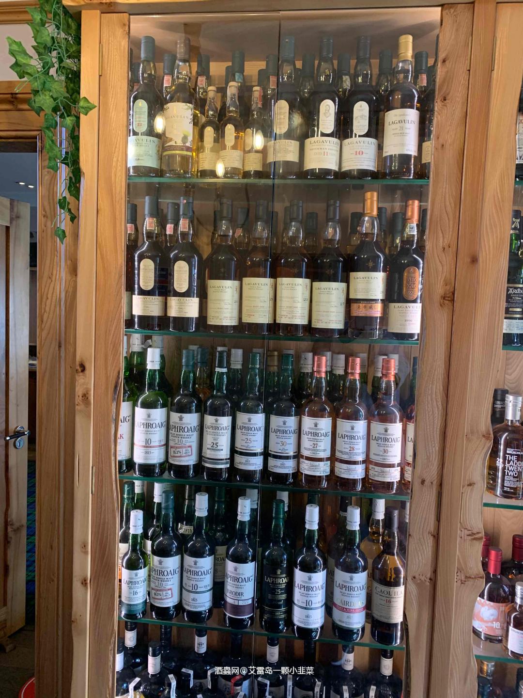 参加完岛节，回家啦回家啦～