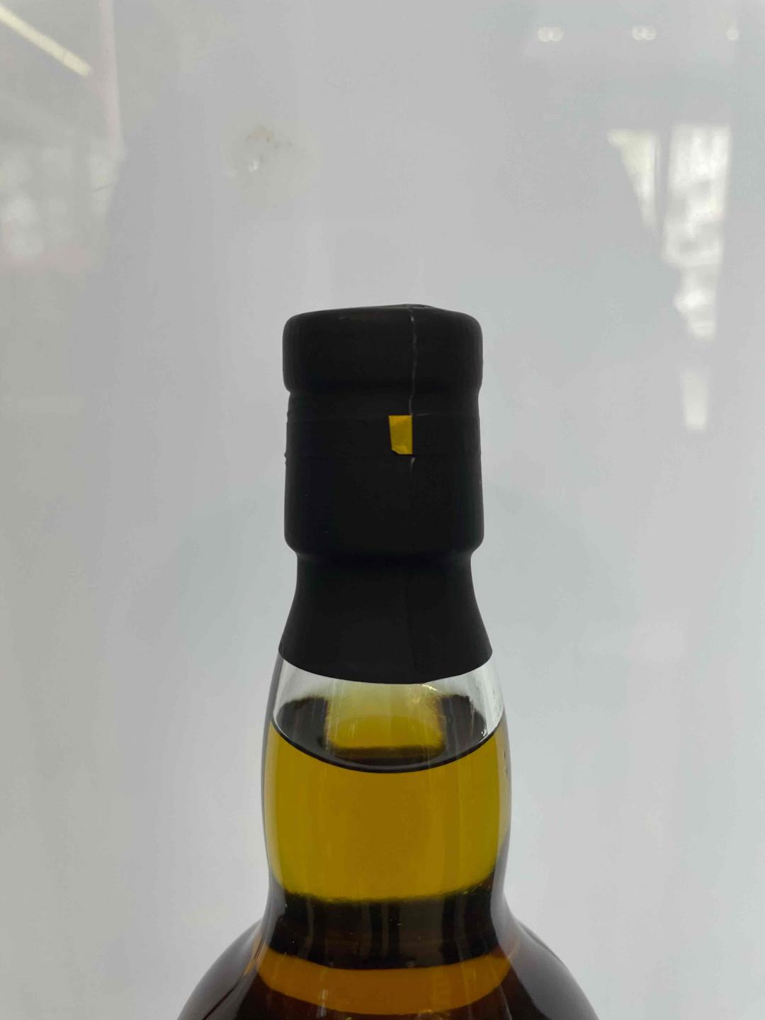 格兰杰海绵宝宝