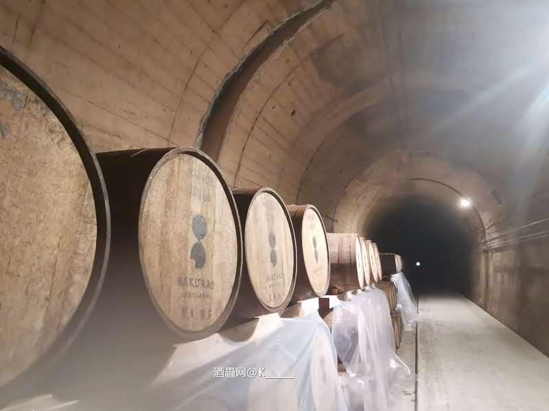 三十年后又是一条好汉 SBD 樱尾户河内试饮记录