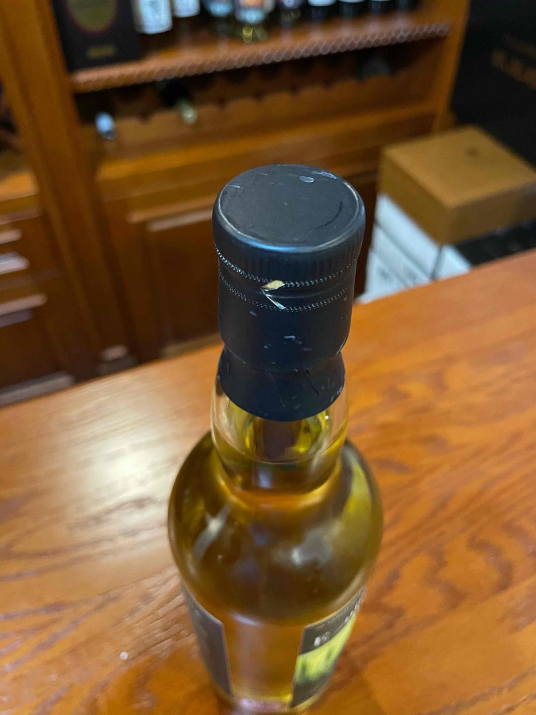 海绵小猫Candlekitty季节限量