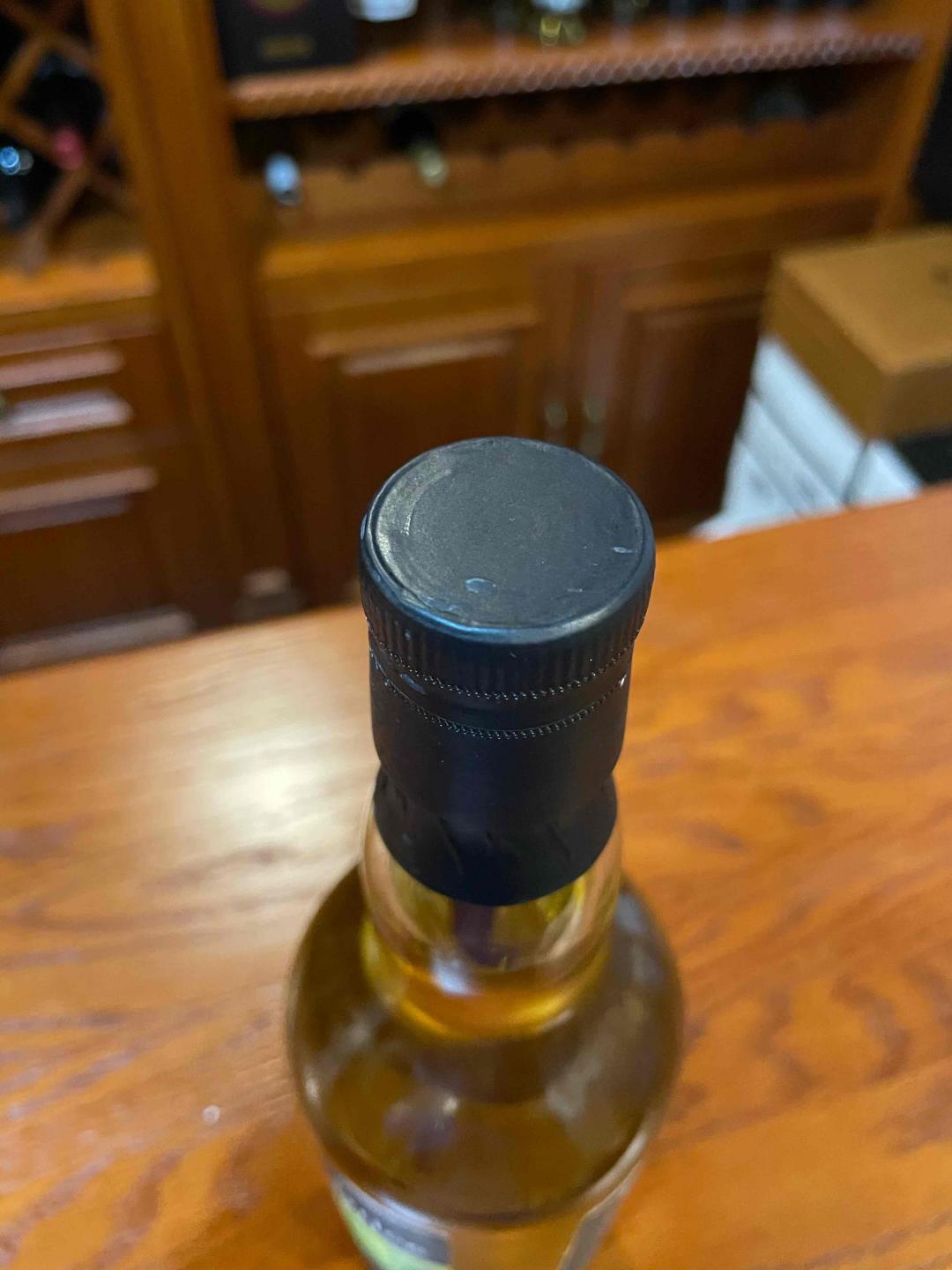 海绵小猫Candlekitty季节限量